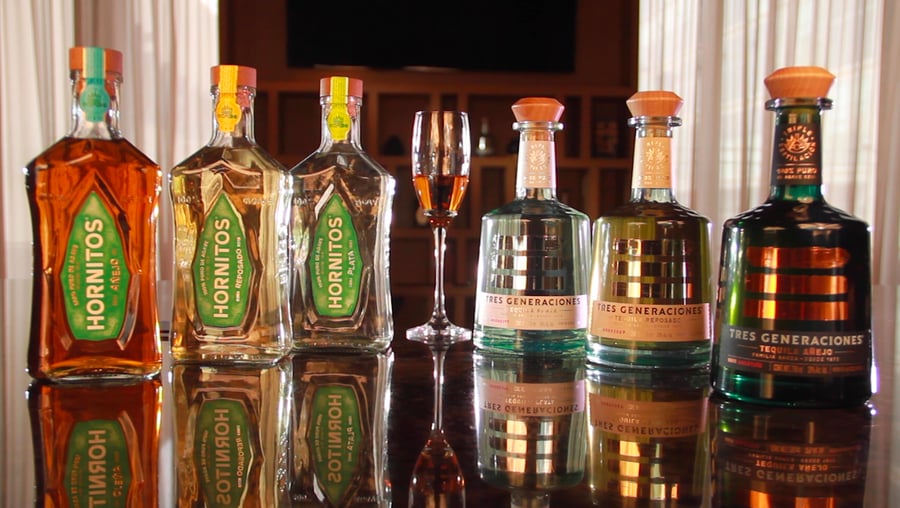 Tipos de tequila y cómo tomarlos